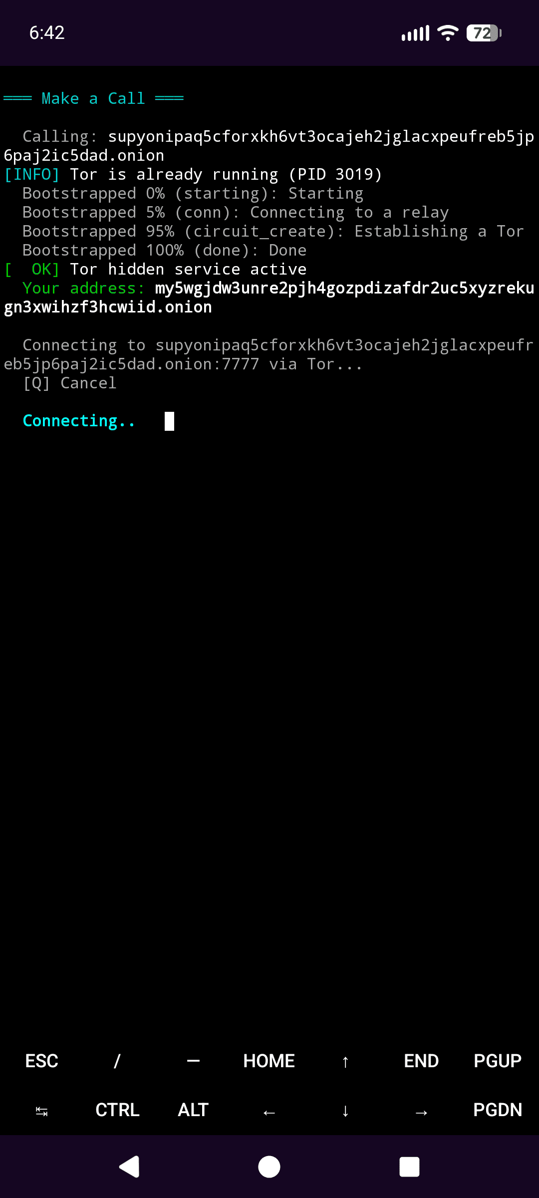Auto-connecting to the onion address
